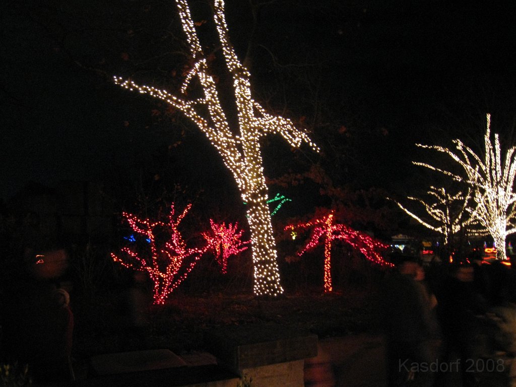 Toledo Zoo Lights 2008 047.jpg - The regular visit to the Toledo Ohio Zoo to see the Christmas Lights displays. New this trip were the "Dancing Lights", displays flashing in time with the Christmas Songs.